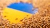 Ukraine xuất khẩu ngũ cốc qua ngả Ba Lan và Romania