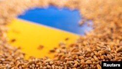 Ngũ cốc của Ukraine. 