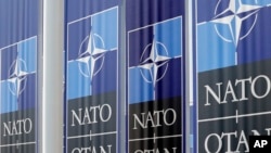 NATO cho tới nay chưa đồng ý với đề nghị của Ukraine là được gia nhập nhanh chóng vào khối vì một số thành viên cảnh giác với những động thái mà họ lo ngại có thể đưa liên minh tiến gần hơn đến một cuộc chiến với Nga.