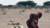 مشرقی افریقہ: خشک سالی اور قحط کی شدت