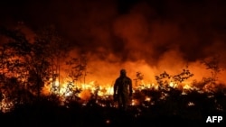 Lính cứu hỏa đang cố gắng dập lửa ở Louchats gần Gironde, miền tây nam nước Pháp 