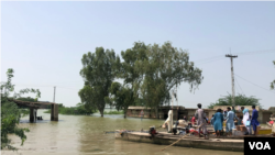 سیلاب کے بعد قریبی علاقوں سے ماہی گیری کے لیے استعمال ہونے والی کشتیاں یہاں آنا شروع ہوگئی تھیں۔