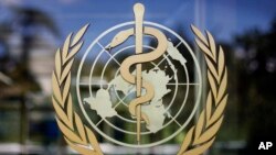 Biểu tượng của Tổ chức Y tế Thế giới (WHO) bên ngoài trụ sở của cơ quan này tại Geneva, Thụy Sĩ.