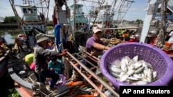 Ngư dân Thái Lan chuyển cá lên bến tại tỉnh Samut Sakhon, phía tây Bangkok.