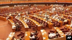 دوہری شہریت کے خلاف قانون پر پاکستانی منقسم