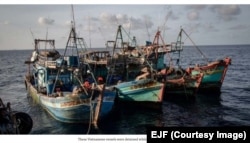 Các tàu cá của Việt Nam bị bắt khi đánh bắt trái phép ở Vịnh Thái Lan thuộc vùng đặc quyền kinh tế của nước này. © EJF