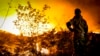 یورپ میں شدید گرمی، ہزاروں ایکڑ جنگلات شعلوں کی لپیٹ میں