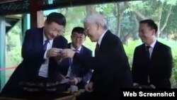 Chủ tịch Trung Quốc Tập Cận Bình thưởng trà với ông Nguyễn Phú Trọng trong chuyến thăm Việt Nam cuối năm 2017. 