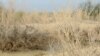 بلوچستان کے کسان زرعی قرضوں کے لیے پریشان