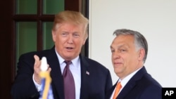 Orban Trump'la Florida'da görüştü