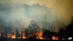 Cháy rừng hoành hành ở Bodalla, bang New South Wales, Úc, hồi đầu năm 2020