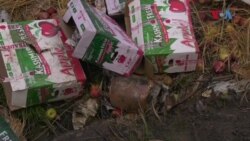 جموں و کشمیر، سیب لے جانے والے ٹرک ڈرائیوروں کا قتل