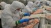 Châu Âu phát hiện chất cấm trong hải sản Việt Nam