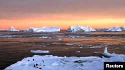 Các hoạt động quân sự bị cấm ở Nam Cựca 
