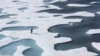شمالی قطب کی برف پگھلنے کا ذمہ دار کون، انسان یا فطرت