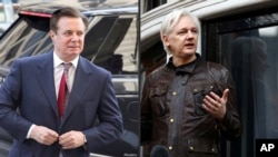 Manafort (trái) phủ nhận mình chưa bao giờ gặp ông Assange