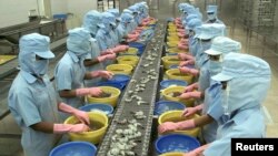 Công nhân bóc vỏ tôm tại một công ty ở tỉnh Sóc Trăng, chuyên xuất khẩu tôm Việt Nam sang Hoa Kỳ . 