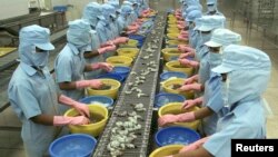 Công nhân Việt Nam lột vỏ tôm tại công ty thủy sản Kim Anh ở Sóc Trăng.