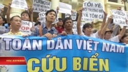 Việt Nam sắp công bố nguyên nhân thảm họa cá chết